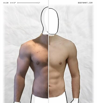 Torso Comparison