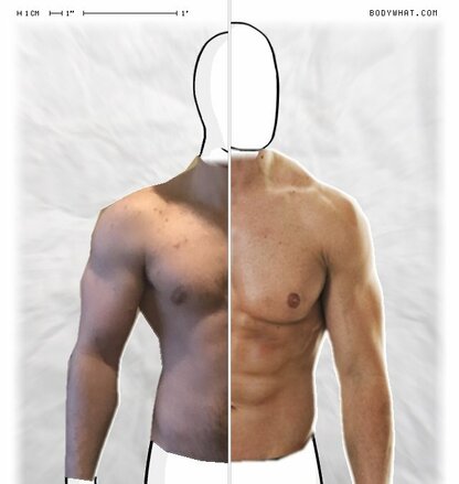 Torso Comparison