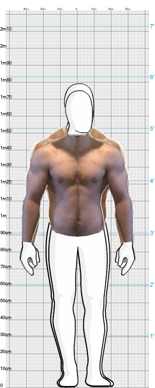 Full Size Comparison