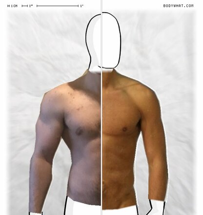 Torso Comparison