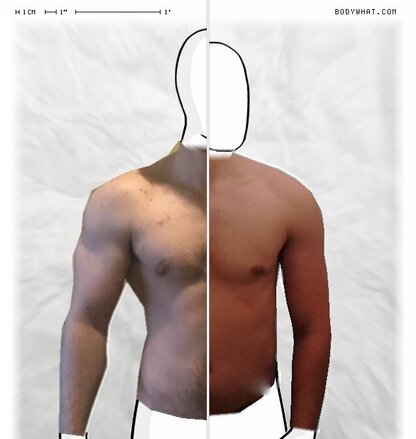 Torso Comparison