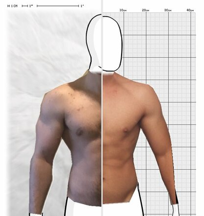 Torso Comparison