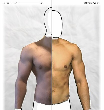 Torso Comparison