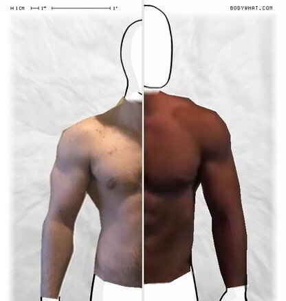 Torso Comparison