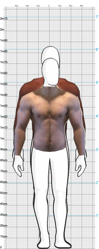 Full Size Comparison