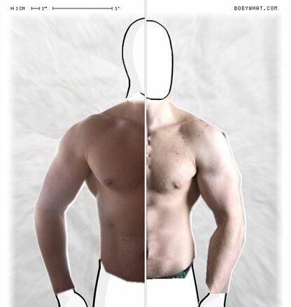 Torso Comparison