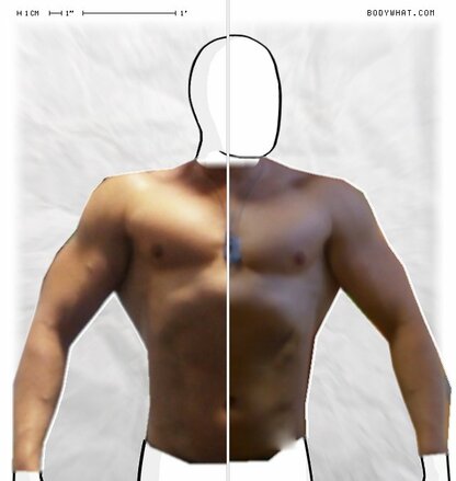 Torso Comparison