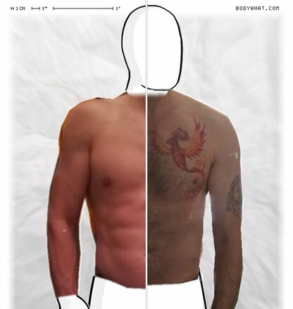 Torso Comparison