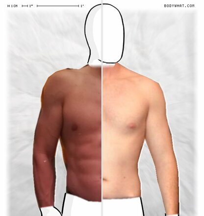 Torso Comparison