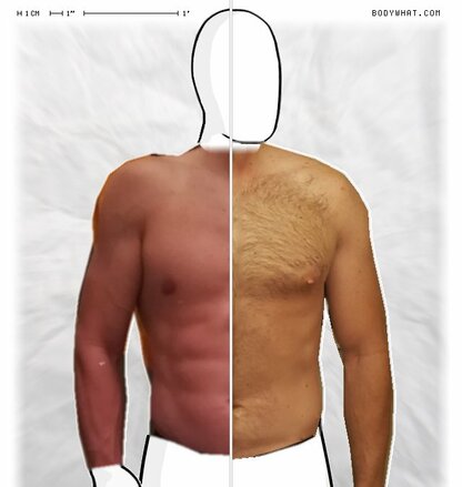 Torso Comparison