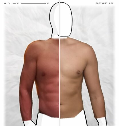 Torso Comparison