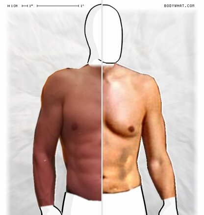 Torso Comparison