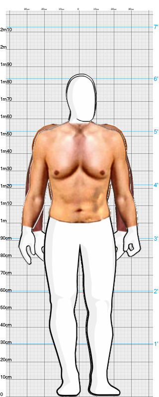 Full Size Comparison