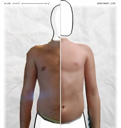 Torso Comparison