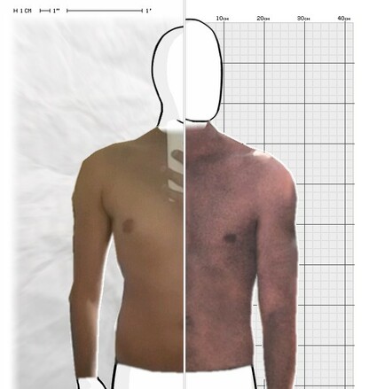 Torso Comparison