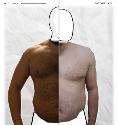 Torso Comparison