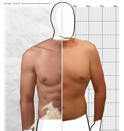 Torso Comparison