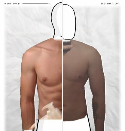 Torso Comparison