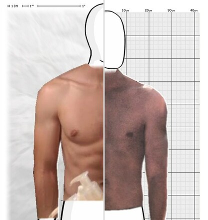 Torso Comparison