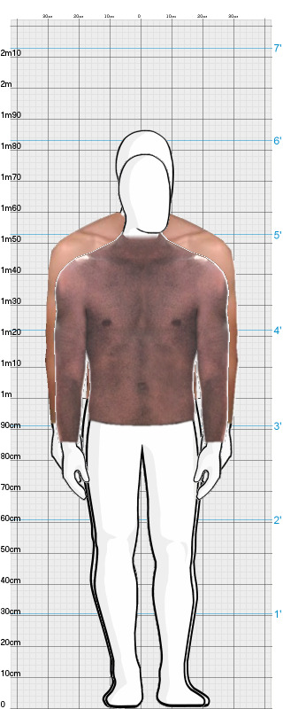 Full Size Comparison