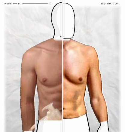 Torso Comparison