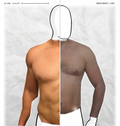 Torso Comparison