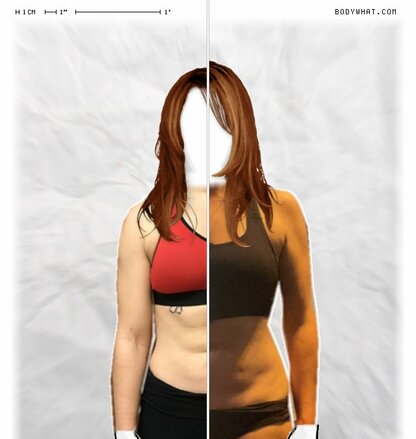 Torso Comparison