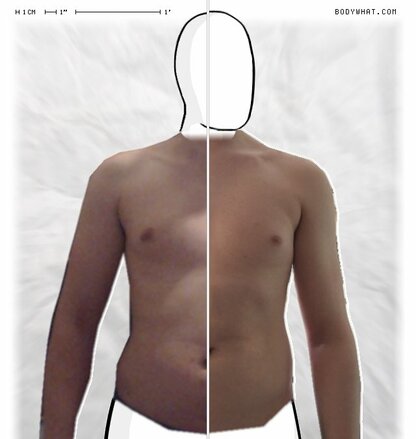 Torso Comparison