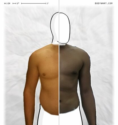 Torso Comparison