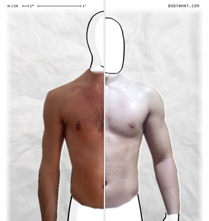 Torso Comparison