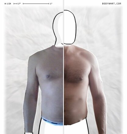 Torso Comparison