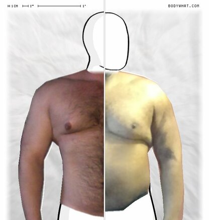 Torso Comparison