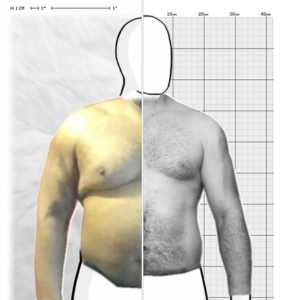 Torso Comparison