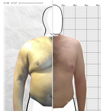 Torso Comparison