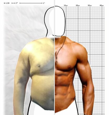 Torso Comparison