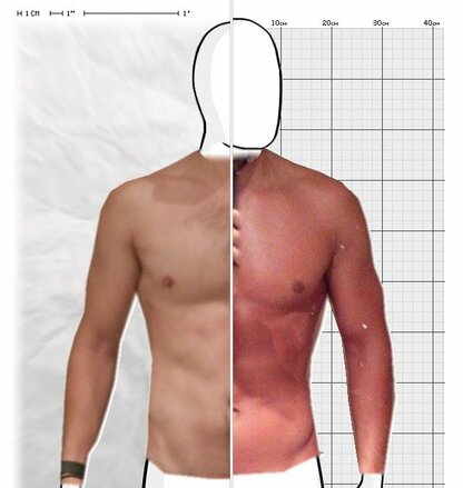 Torso Comparison