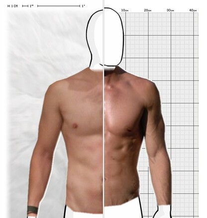 Torso Comparison