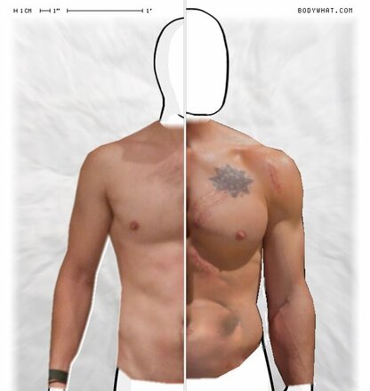 Torso Comparison