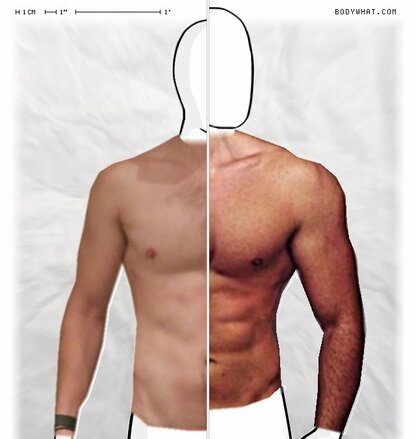 Torso Comparison