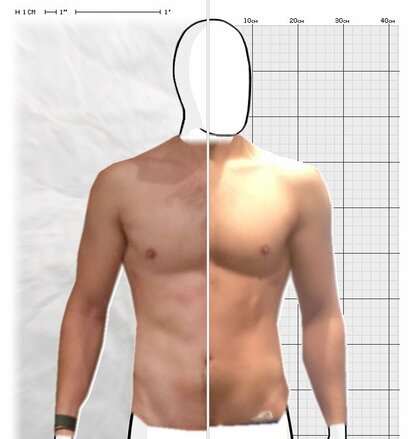 Torso Comparison