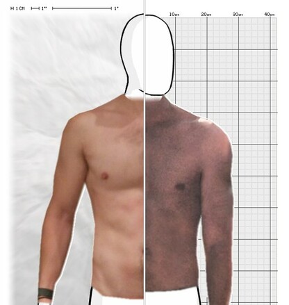 Torso Comparison