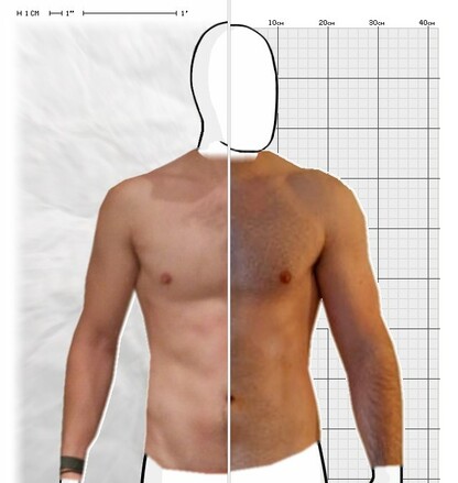 Torso Comparison