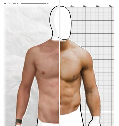 Torso Comparison