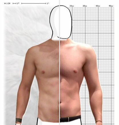 Torso Comparison