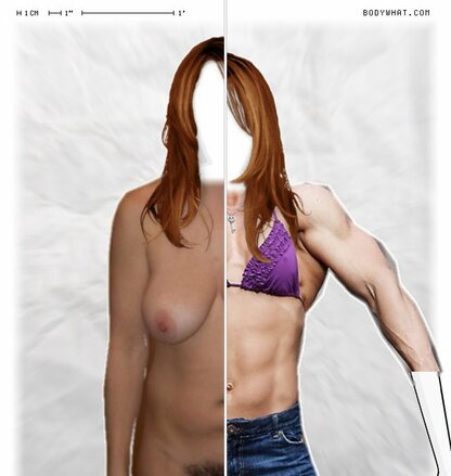 Torso Comparison