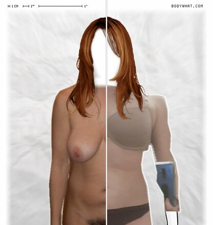 Torso Comparison