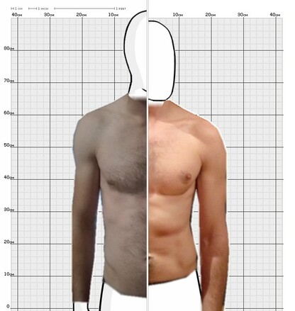 Torso Comparison