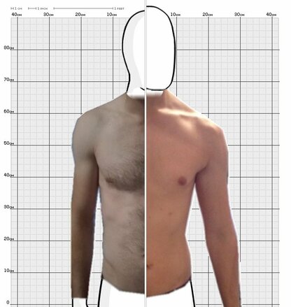 Torso Comparison