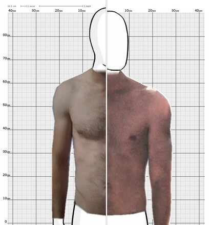 Torso Comparison