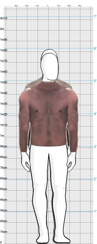 Full Size Comparison